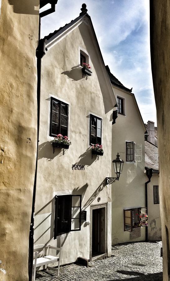 فندق Penzion U Namesti - At The Town Square Český Krumlov المظهر الخارجي الصورة